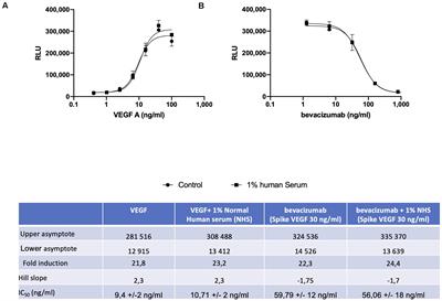 Quantification of Bevacizumab Activity Following Treatment of Patients With Ovarian Cancer or Glioblastoma